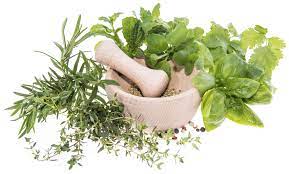 علاج الكولسترول بالأعشاب